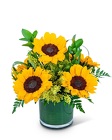 Sunshine Sunflowers -A local Pittsburgh florist for flowers in Pittsburgh. PA