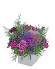 Mulberry Wishes -A local Pittsburgh florist for flowers in Pittsburgh. PA