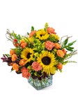 Splendid Sunflowers -A local Pittsburgh florist for flowers in Pittsburgh. PA