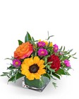 Sedona Valley -A local Pittsburgh florist for flowers in Pittsburgh. PA