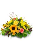 Sun-Kissed Centerpiece -A local Pittsburgh florist for flowers in Pittsburgh. PA