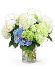 "Hello, Hydrangea!" -A local Pittsburgh florist for flowers in Pittsburgh. PA