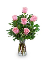 Pink Roses (6) -A local Pittsburgh florist for flowers in Pittsburgh. PA