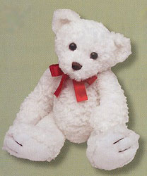 Tucker the Bear (White) -A local Pittsburgh florist for flowers in Pittsburgh. PA