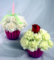 Blooming Cupcake -A local Pittsburgh florist for flowers in Pittsburgh. PA