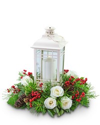 Piney Rose Lantern -A local Pittsburgh florist for flowers in Pittsburgh. PA